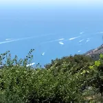 فيلة Pietralta سورينتو