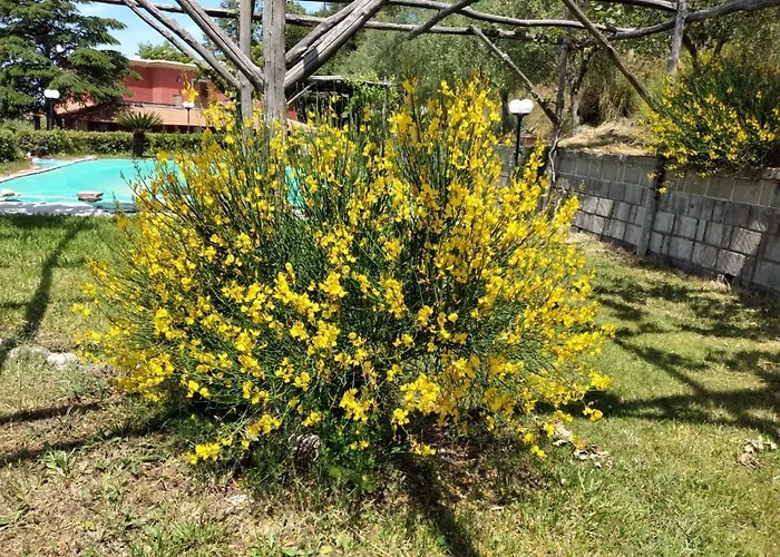 Pietralta * Σορέντο