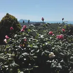 Villa Pietralta *