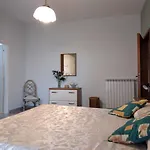 فيلة Pietralta