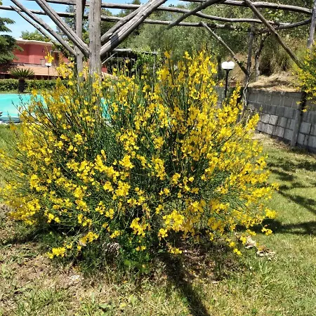 Pietralta * Sorrento
